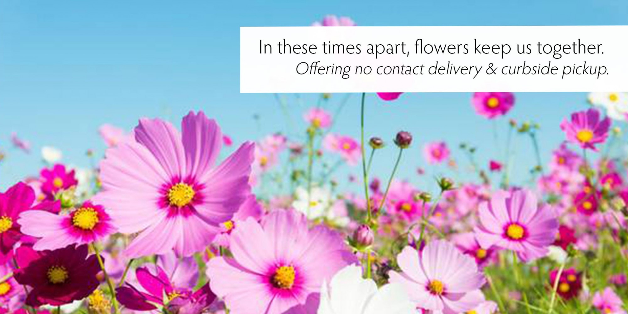 Orillia Delivery Orillia Flower Shop, Family Owned for 60 Years