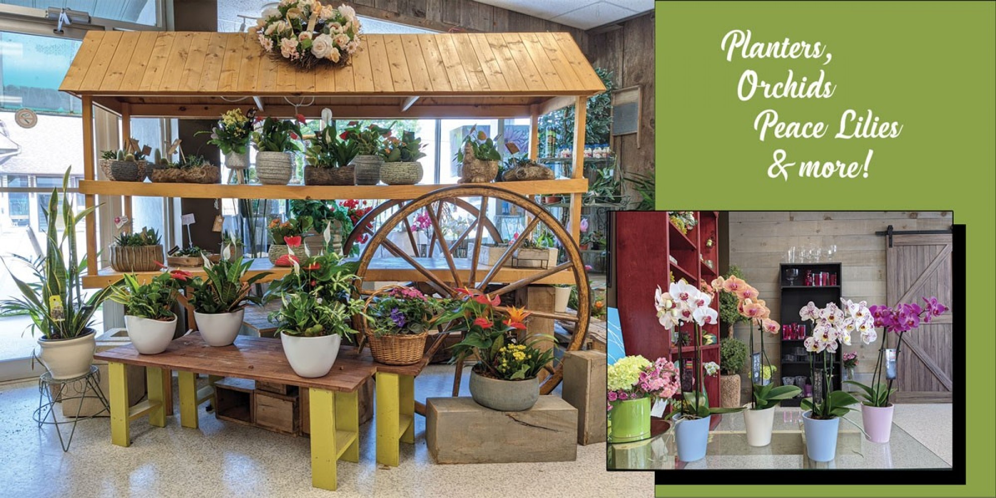 Orillia Delivery Orillia Flower Shop, Family Owned for 60 Years