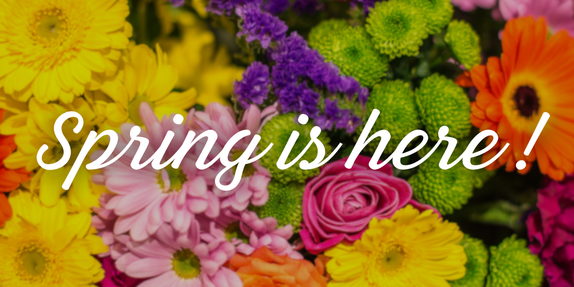 Orillia Delivery Orillia Flower Shop, Family Owned for 60 Years