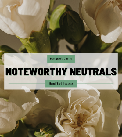 Noteworthy Neutrals - Designer's Choice Hand-Tied